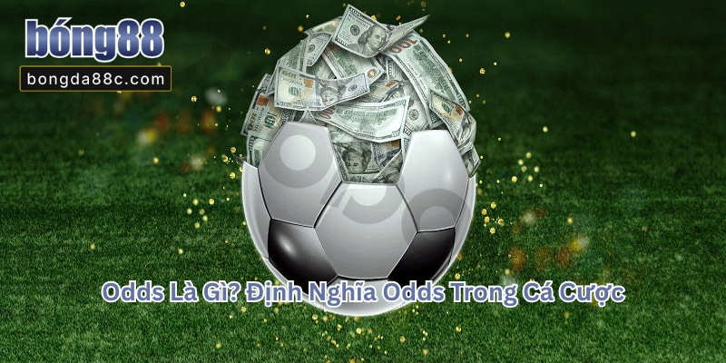 Odds Là Gì